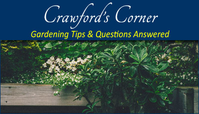 Crawfords Corner