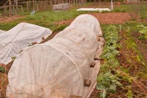 gardening notes image for nov 2025