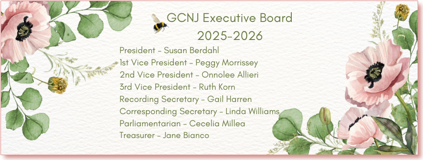 GCNJ Executive Board 2025 - 2026