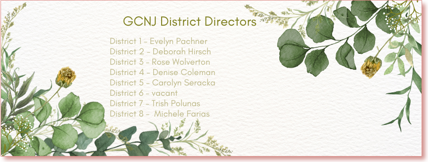 GCNJ District Directors